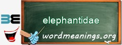 WordMeaning blackboard for elephantidae